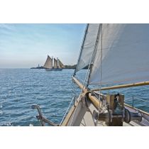 Phot.mur.Sailing A8/368*254cm