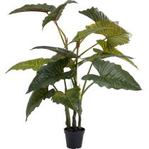 Deco Plant Taro 180