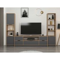 HANAH HOME TV polica Elina 8606